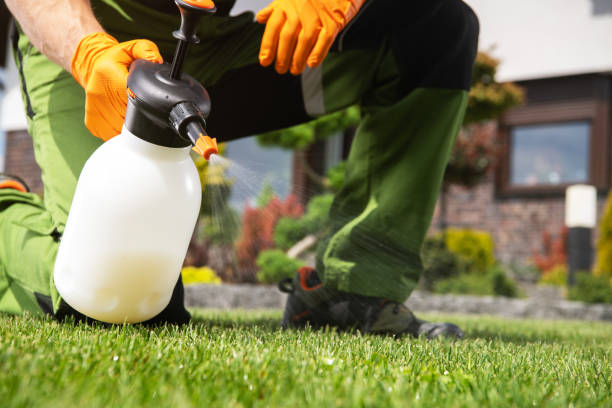 Best Mosquito Control Services  in Centre, AL