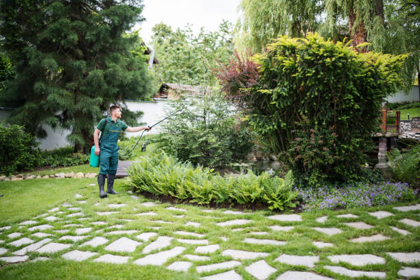Best Pest Removal Services  in Centre, AL