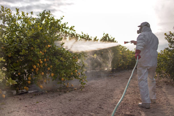 Best Residential Pest Control  in Centre, AL